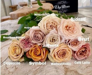 Розы сложных оттенков и компаньоны.