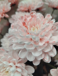 Расклады в сфере личных отношений💕 💕