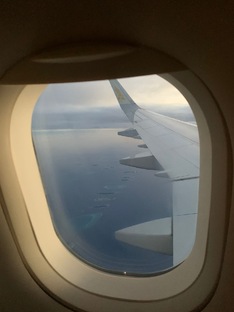 ОБ АВИАКОМПАНИЯХ ✈️
