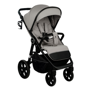 Прогулочные коляски на круглый год