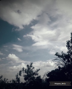 Авторские стихи 💮✒