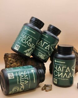 Чага в капсулах