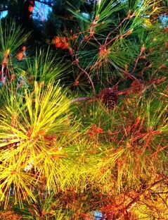 Ноябрь месяц 2025