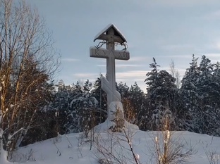 Тайга Кулай