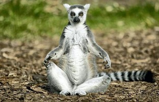 Психология