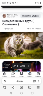 Всамделишный друг.