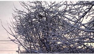 Сказочная красота 