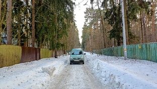 Жизнь зелёного ведёрка