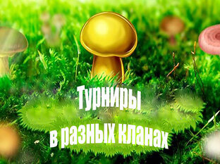 Турниры в разных кланах