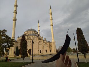 Про Чечню