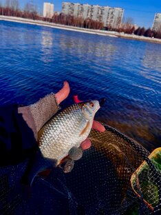 Отчёты о рыбалке 