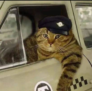 Профессии и их истории 