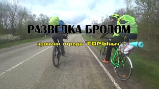 2019 г.