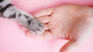 Зверюшка человеку друг!