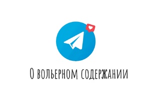 Форум о вольерном содержании собак