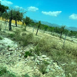 РЕБУСЫ БРЕМЕНА 