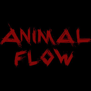 Групповые тренировки Animal Flow