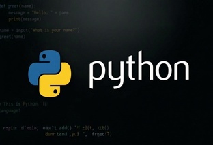 Python для новичков: шаг за шагом от установки до проекта