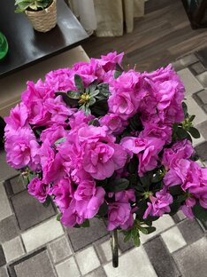 Растения, которые любят кислый грунт 