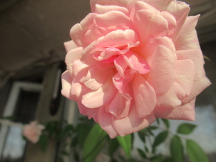 ПОЗДРАВЛЕНИЯ!..