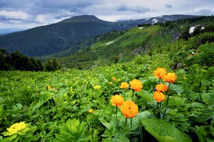 Туризм и отдых в Алтайском крае