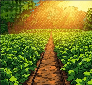 Цикл статей об удобрениях