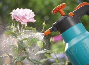 Удобрения и защита от вредителей 