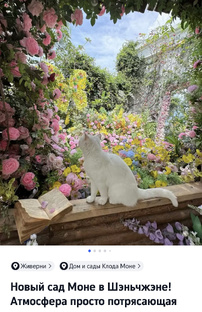 Галопом по Европам