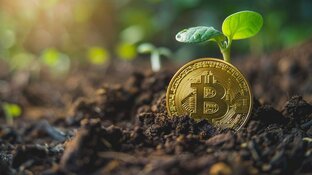 Получение новых монет на криптобиржах