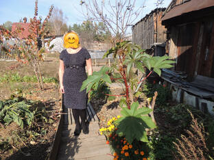 Постройнеем к лету 2026?