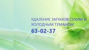 Удаление и устранение неприятных запахов