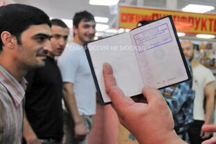 🤯11 000 мигрантов прописала в двух своих квартирах 73-лентяя жительница подмоск