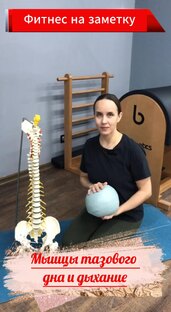 Фитнес на заметку. Мышцы тазового дна и дыхание