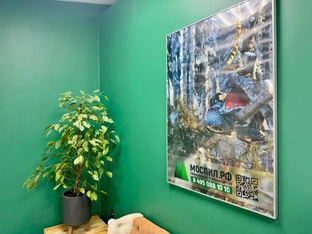 Развлекательные ролики компании