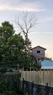 Просто интересности