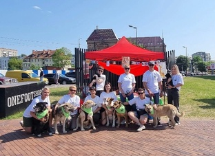 Волонтёры приюта