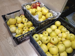 Дела огородные...