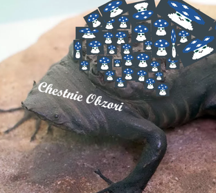 Честные обзоры