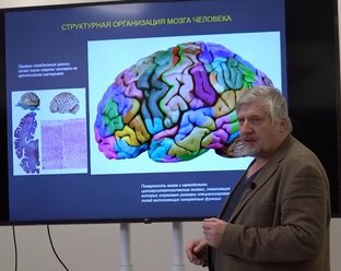 Доклады и презентации