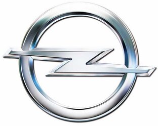 Удаление катализатора Opel