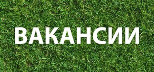 Все свежие вакансии на одной странице