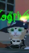 Cats simulator animal life 