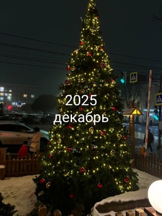 Декабрь 2025