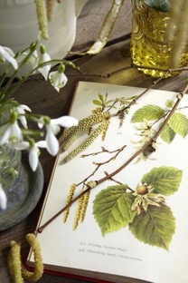 Поэзия, живопись и события культуры!