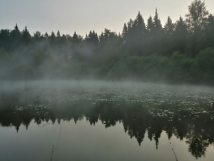 За кого мы в ответе.