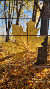 Ответы на вопросы