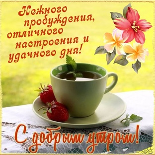 Доброе УТРО