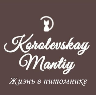наши питомцы