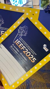IEEF2025