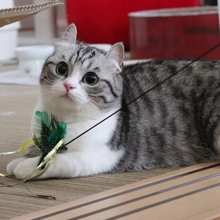 Сериал Жизнь